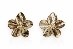 Jorvani Florence Küpe