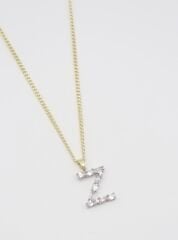 Jorvani Z Harfli Kolye (50+5 cm)